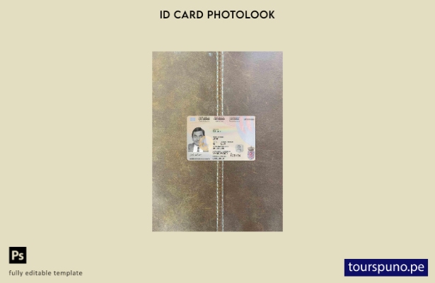 listo para imprimir plantilla FRONTAL de foto de tarjeta de identificación de Lu
